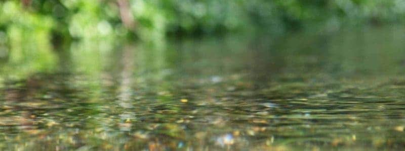 Chalk Stream