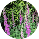 Catherine McArdle profile picture