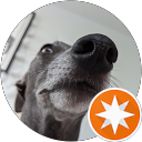 Simon Watt profile picture